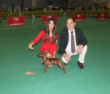 Exposición Internacional Torrepacheco 2015